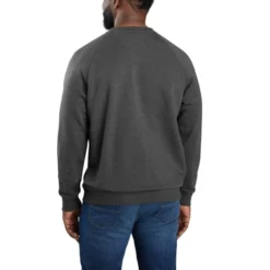 CARHARTT Men's 105568 Force Relaxed Fit Lightweight Crewneck Sweatshirt, Extended Sizes -Default Template 3 2089942 047 alt2